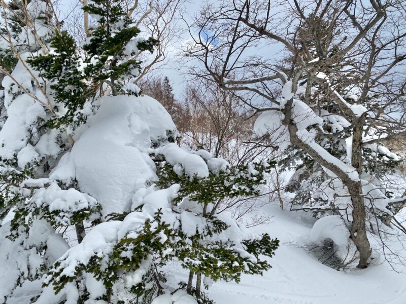 Hokkaido, Japan. Image © PlanetSKI
